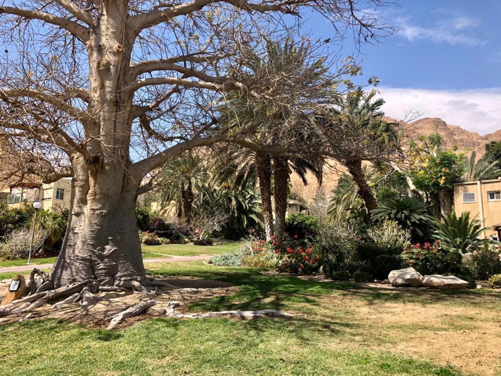 Ein Gedi Caravan By Dory Caravan Luaran gambar